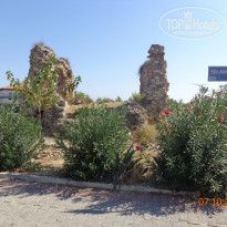 фото из отзыва ID 1901177