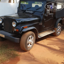 фото из отзыва ID 1901185