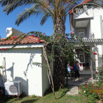 фото из отзыва ID 1901177