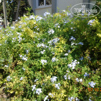 фото из отзыва ID 1901177