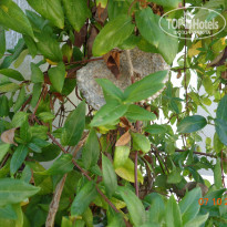 фото из отзыва ID 1901177