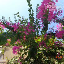 фото из отзыва ID 1901177