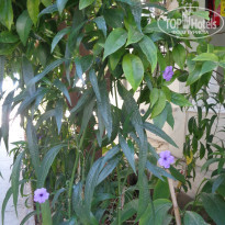 фото из отзыва ID 1901177