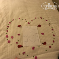 фото из отзыва ID 1901202