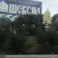 фото из отзыва ID 1901222