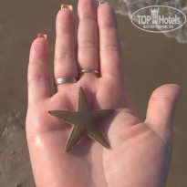 фото из отзыва ID 1901177