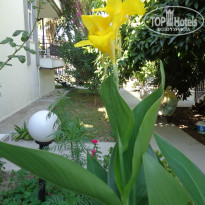 фото из отзыва ID 1901177