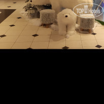 фото из отзыва ID 1901289