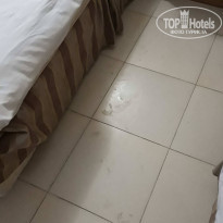 фото из отзыва ID 1901331