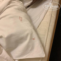 фото из отзыва ID 1901385