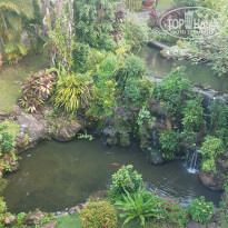 фото из отзыва ID 1901466