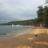 фото из отзыва ID 1901619