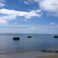 фото из отзыва ID 1901619