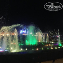 фото из отзыва ID 1901631