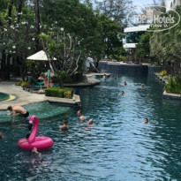 фото из отзыва ID 1901823