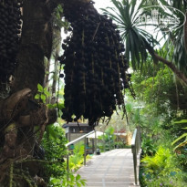 фото из отзыва ID 1901823