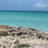 фото из отзыва ID 1901827