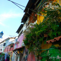 фото из отзыва ID 1900398