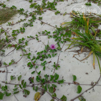 фото из отзыва ID 1902042