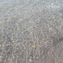 фото из отзыва ID 1902062