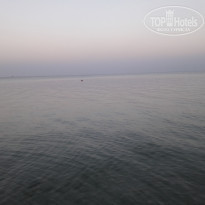 фото из отзыва ID 1902062