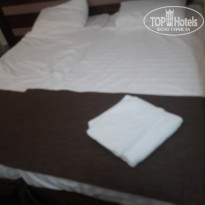 фото из отзыва ID 1902062