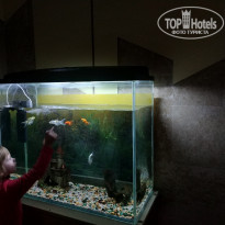 фото из отзыва ID 1901769