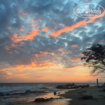 фото из отзыва ID 1902121