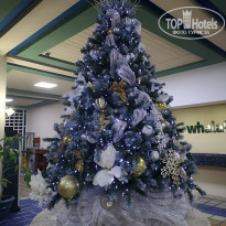 фото из отзыва ID 1902224