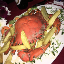 фото из отзыва ID 1902242