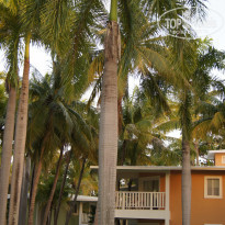 фото из отзыва ID 1902262