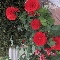 фото из отзыва ID 1902354