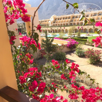 фото из отзыва ID 1902372