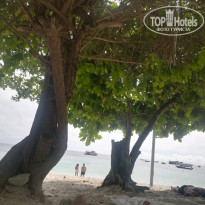 фото из отзыва ID 1902306