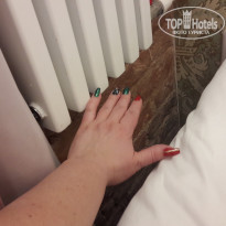 фото из отзыва ID 1902392