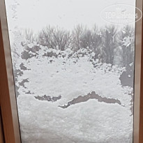 фото из отзыва ID 1902416