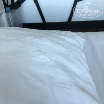 фото из отзыва ID 1902445