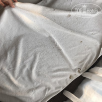 фото из отзыва ID 1902445