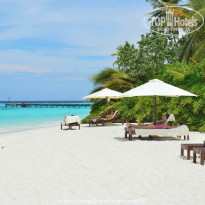 фото из отзыва ID 1902514