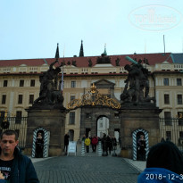 фото из отзыва ID 1902616