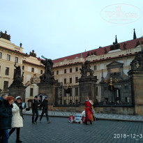 фото из отзыва ID 1902616