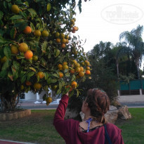 фото из отзыва ID 1902632