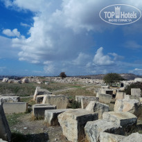 фото из отзыва ID 1902632