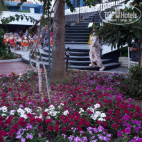 фото из отзыва ID 1902670