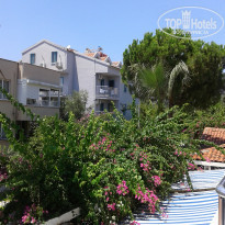 фото из отзыва ID 1902676