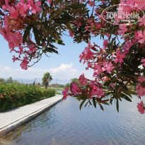 фото из отзыва ID 1902695