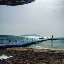 фото из отзыва ID 1902928