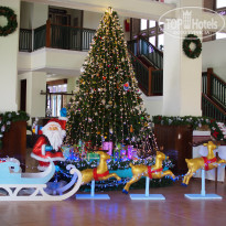 фото из отзыва ID 1902970