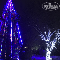 фото из отзыва ID 1903015