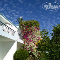 фото из отзыва ID 1903035